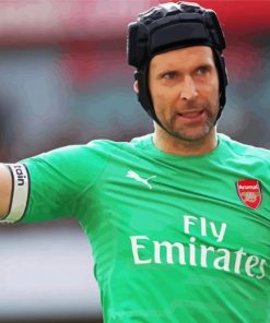 Petr Čech Paint By Numbers