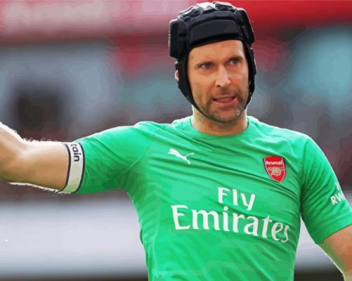 Petr Čech Paint By Numbers