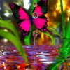 Pink Butterfly On Water Paint By Numbers