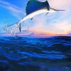 Sailfish In The Sunset Paint By Numbers