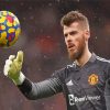 Spanish Player David De Gea Paint By Numbers