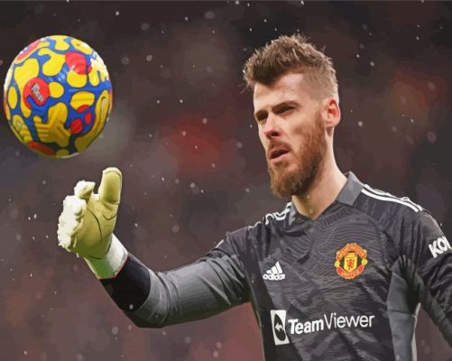 Spanish Player David De Gea Paint By Numbers