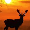 Red Deer Sunrise Silhouette Paint By Numbers