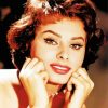 The Actress Sophia Loren Paint By Numbers