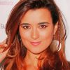 The American Actress Cote De Pablo Paint By Numbers