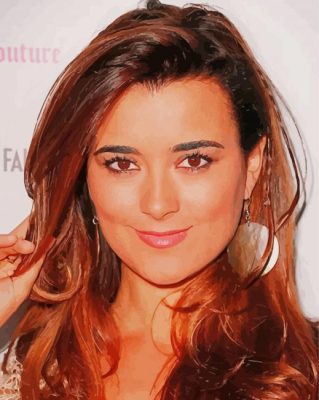 The American Actress Cote De Pablo Paint By Numbers