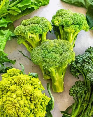 The Broccoli Vegetable Paint By Numbers