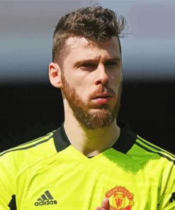 The Football Player David De Gea Paint By Numbers