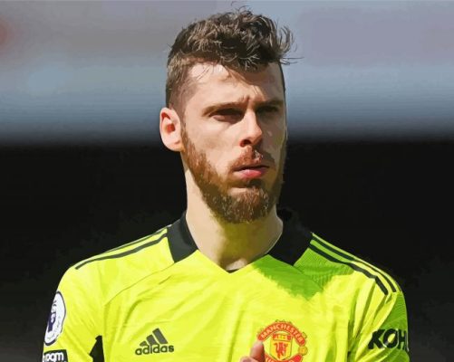 The Football Player David De Gea Paint By Numbers