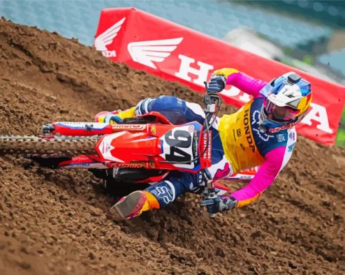 The Racer Ken Roczen Paint By Numbers