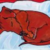 The Sleeping Dachshund Paint By Numbers