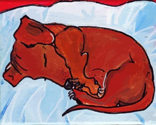 The Sleeping Dachshund Paint By Numbers