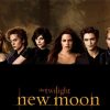 Twilight New Moon Film Paint By Numbers
