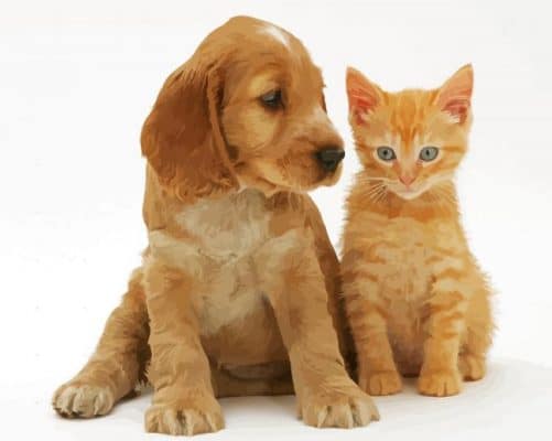 Aesthetic Tabby Kitten And Golden Cocker Spaniel Puppy Paint By Numbers