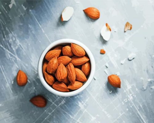 Almond Nuts On The Grey Background Paint By Numbers