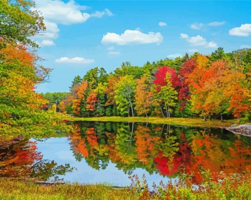 Autumn In New England Paint By Numbers