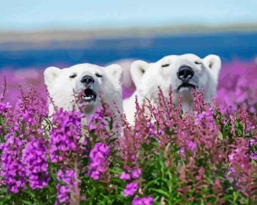 Bears In Lavender Field Paint By Numbers