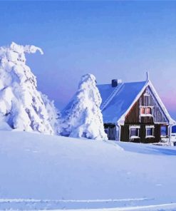 Beautiful House In Frozen Forest Paint By Numbers