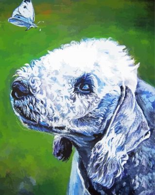 Bedlington Terrier With Butterfly Art Paint By Numbers