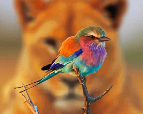 Breasted Roller Bird And Lioness Paint By Numbers