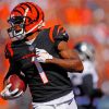 Cincinnati Bengals Paint By Numbers