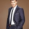 Classy David Boreanaz Paint By Numbers