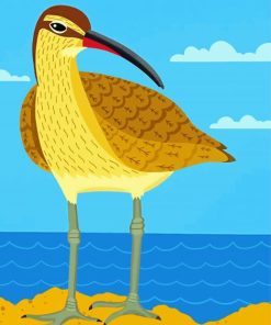 Cool Curlew Art Paint By Numbers