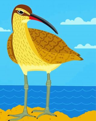 Cool Curlew Art Paint By Numbers