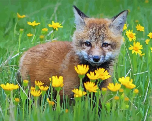 Fox In Flowers Paint By Numbers