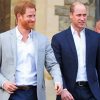 Cool Prince William And Prince Harry Paint By Numbers