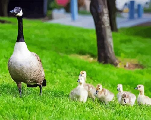 Cute Geese In The Garden Paint By Numbers