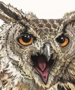 Owl Fierce Art Paint By Numbers