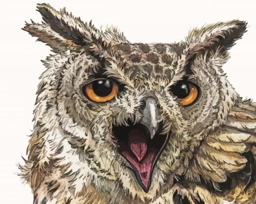 Owl Fierce Art Paint By Numbers