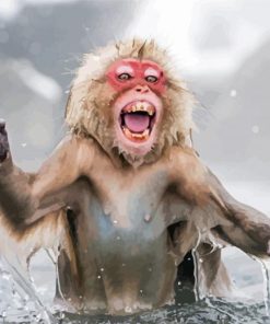 Happy Snow Monkey Paint By Numbers