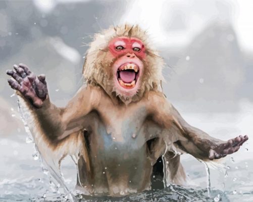 Happy Snow Monkey Paint By Numbers