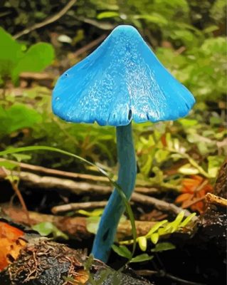 Lonely Blue Mushroom Paint By Numbers