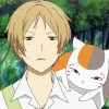 Natsume's Book Of Friends Anime Paint By Numbers