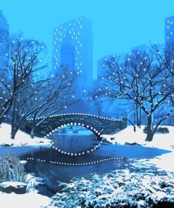 Night Central Park Winter Art Paint By Numbers