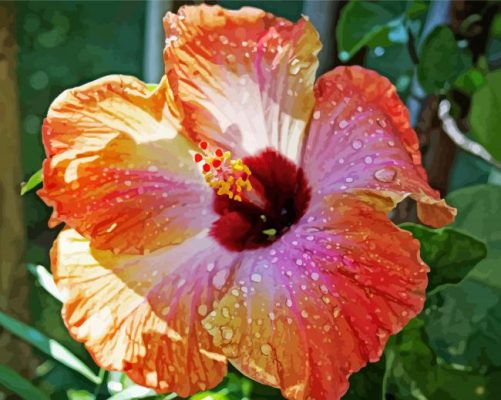 Orange Hibiscus Flower With Water Drops Paint By Numbers