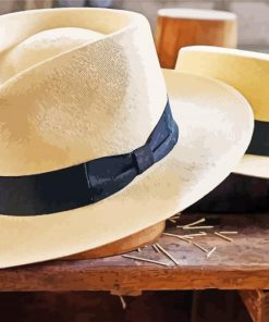 Panama Hats Paint By Numbers