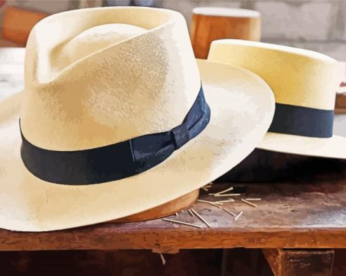 Panama Hats Paint By Numbers