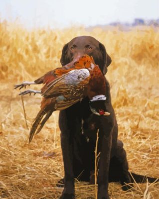 Pheasant Hunting Dog Paint By Numbers