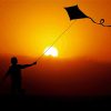 Flying Kite Silhouette Paint By Numbers