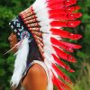 Red Indian Headdress Paint By Numbers