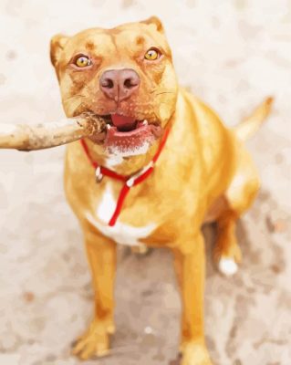 Red Nose Pitbull Paint By Numbers