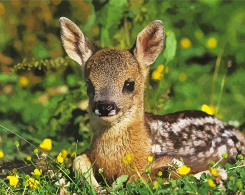 Roe Deer Animal Paint By Numbers