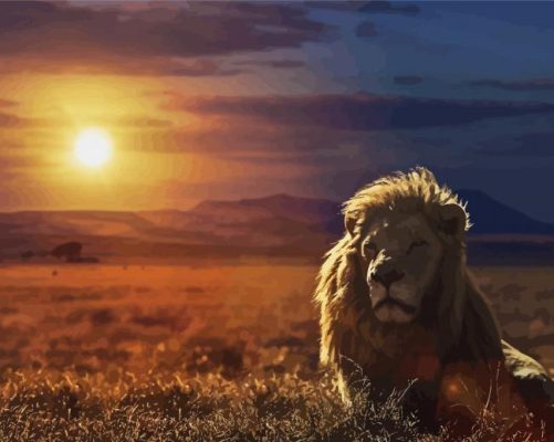 Safari Lion Sunset Paint By Numbers