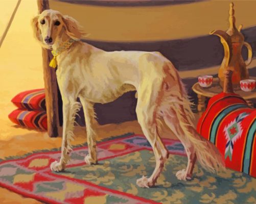 Saluki Dog In Desert Paint By Numbers