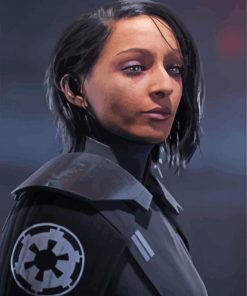 Second Sister Star Wars Character Paint By Numbers