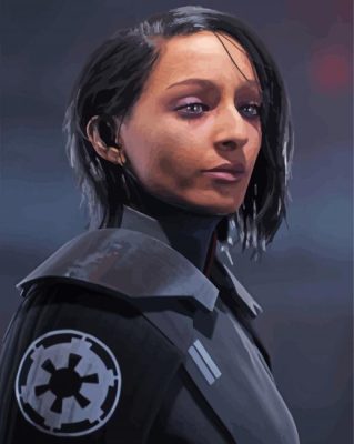 Second Sister Star Wars Character Paint By Numbers